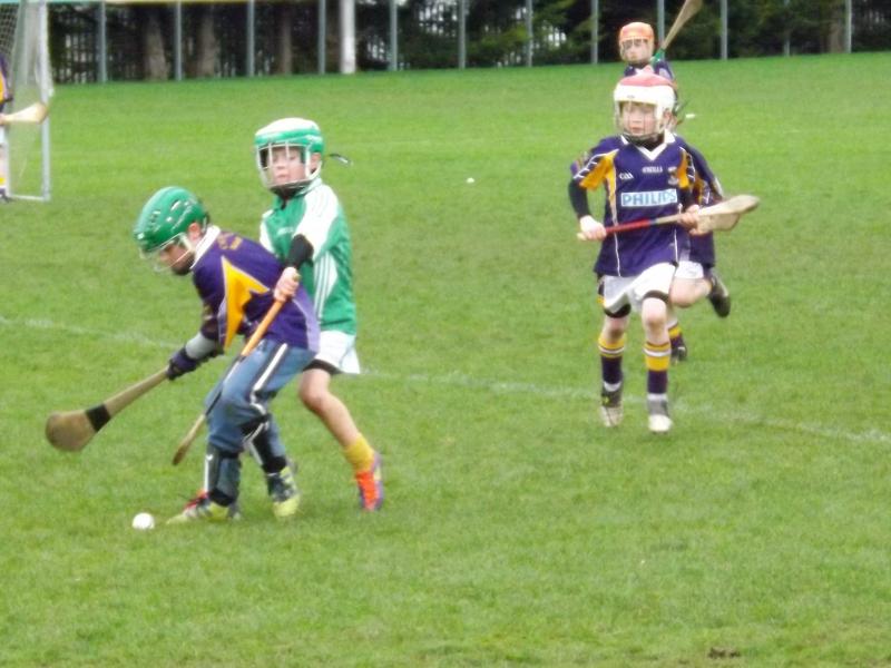 U8FestivalHurling2012 - Kilmacud Crokes V Craughwell 3