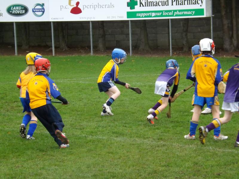 U8FestivalHurling2012 - Kilmacud Crokes V Na Fianna