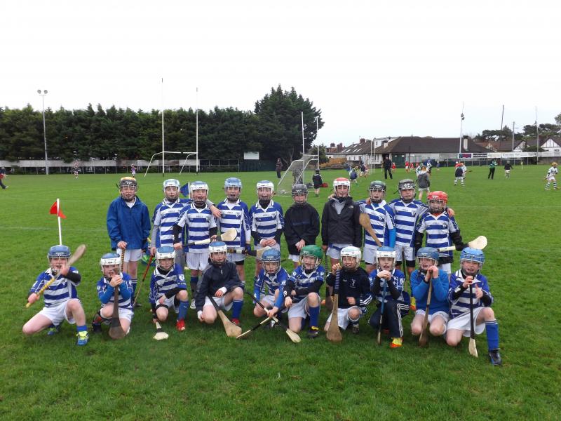 U8FestivalHurling2012 - Naas