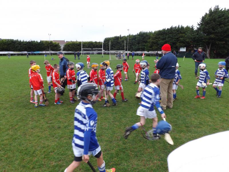 U8FestivalHurling2012 - Sportsmanship 3