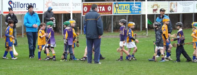 U8FestivalHurling2012 - Sportsmanship