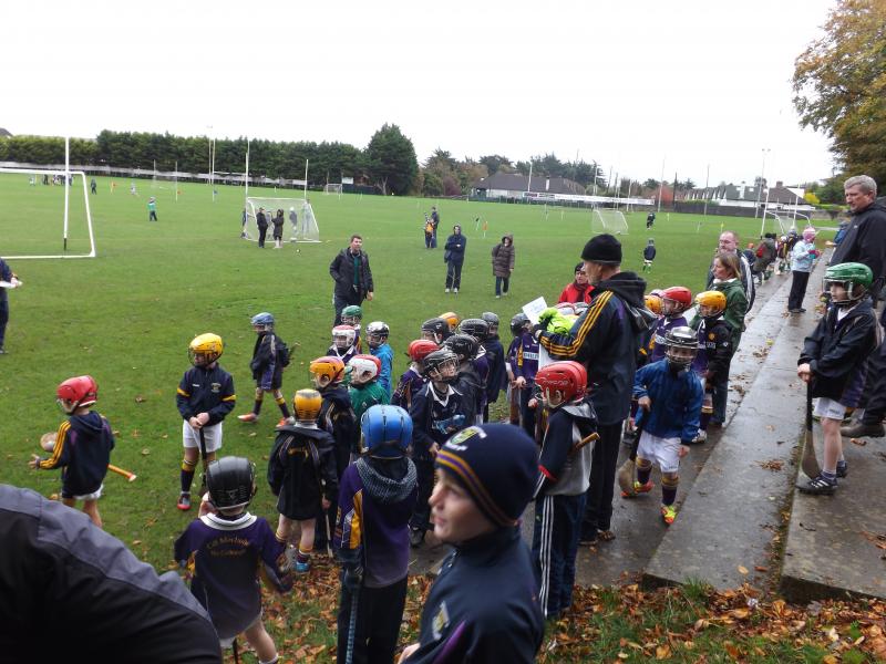 U8FestivalHurling2012 - starting to gather