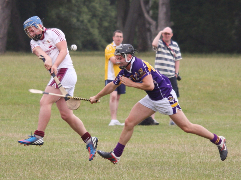 2013_07_21_71801AHL5_RahenyW