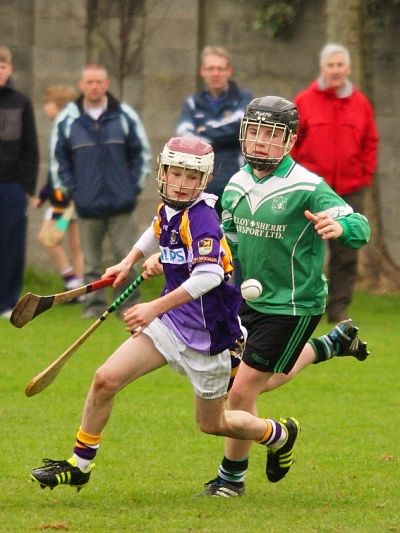 Click here to see images of Feile 2012 in Silverpark