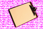 2010 Juvenile Code of Conduct link