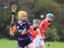 U16Bs have a fine home win