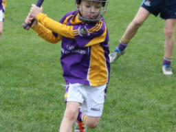 Hurling - Mini All Irelands - Teams and Schedule 