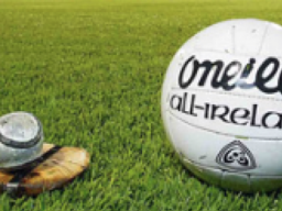 Upcoming Fixtures 