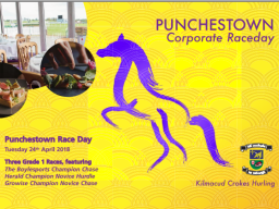 Punchestown 2018 Corporate Raceday