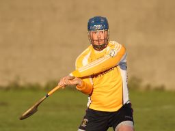 Senior A Hurlers vs Whithall in Championship