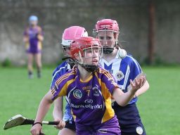 Very good performance for U16A camogie team