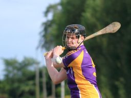 Senior A Hurlers vs O Tooles in League challange