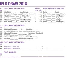 All Ireland Hurling 7s Shield Competition News 2018