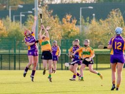 Senior 2 Camoige Championship Final Faughs/Celtic Versus Kilmacud Crokes Sunday October 14th