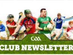 GAA Newsletter November 2018