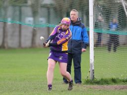 Good win against Celbridge for U16A Camogie team