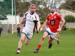 St Bridgets overcome AHL1 team in Senior Hurling League