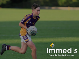 Kilmacud Crokes Juvenile Football Sponsorship Agreement with Immedis