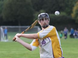 Minor E Hurling round 3 Championship
