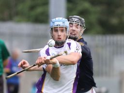 Senior A hurlers through to Semi Finals