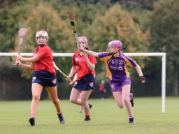 Camogie We Are Dublin Championship Shield Semi Finals U15  Kilmacud Crokes Versus Fingallians