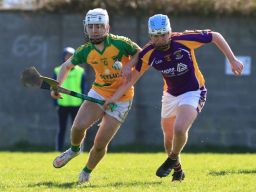 U17 Hurling Division 1 vs Faughs