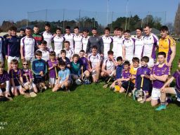 Go Ahead Adult Hurling League Division One   Kilmacud Crokes Versus Cuala