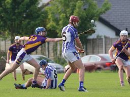Adult Hurling League Division Three vs Ballyboden St Endas