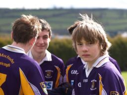 Castlecomer 025w