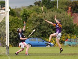 2013_07_02_69187JHC_CualaW