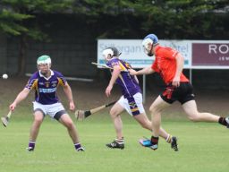 2013_07_07_70083JHL5_Bteerw