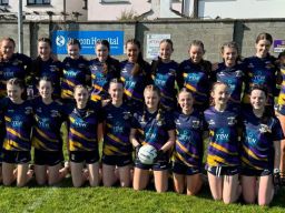 Feile