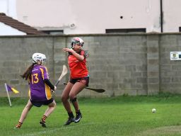 Action shot
