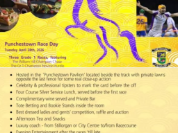 punchestown 