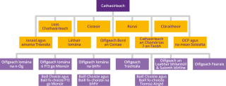 Coiste Iomána