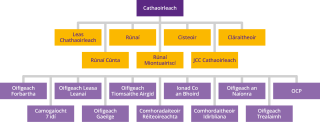 Coiste Camógaíochta