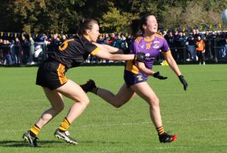 Leinster Quarter Final