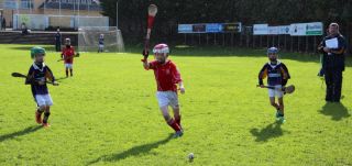 Kilmacud Crokes Hurling Blitz Oct 2013 (18)_W