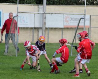 Kilmacud Crokes Hurling Blitz Oct 2013 (21)_W