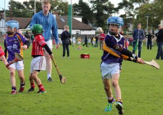 Kilmacud Crokes Hurling Blitz Oct 2013 (22)_W