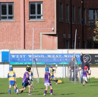 Kilmacud Crokes Hurling Blitz Oct 2013 (39)_W