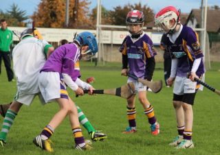Kilmacud Crokes Hurling Blitz Oct 2013 (51)_W