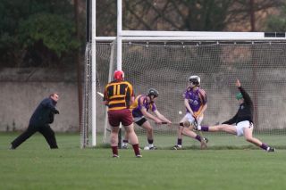 2013_11_30_82098U21B_DavidsW