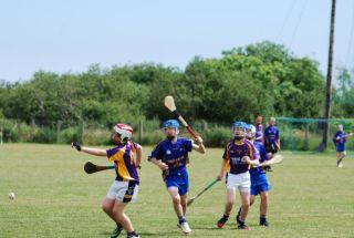 12-DSC_0964-001