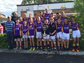 Kilmacud Crokes u13s 2014 - winners of PJ Troy