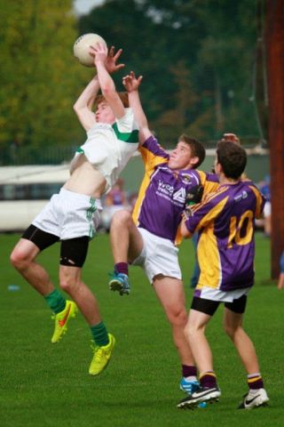 MINOR CHAMPIONSHIP - PHOTOGRAPHS & RESULTS