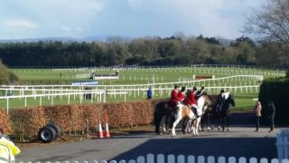 Punchestown 2016 -  Another Day at the Races