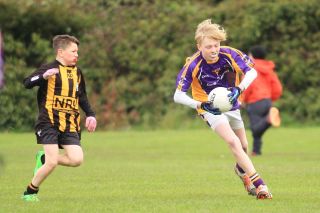 Féile B Team - Reports and Photographs