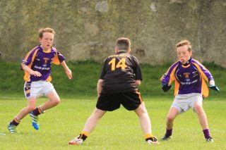 Féile B Team - Reports and Photographs