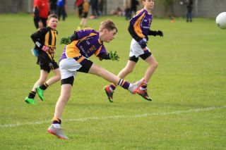 Féile B Team - Reports and Photographs